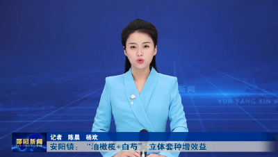 安阳镇：“油橄榄+白芍” 立体套种增效益