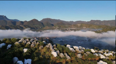 深山橘红时：从“铁脚板”到“云翅膀” 两代橘农的共富答卷