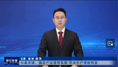 白桑关镇：菌菇产业蓬勃发展 全年生产带动农户增收