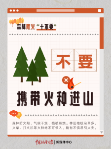 零容忍！森林防火郑重警示，切勿触碰红线！