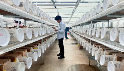 遇见郧阳｜提醒！3月17日起，郧阳6路公交路线有调整