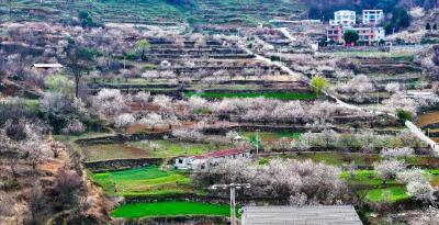 三月的“C”位！天晴了，出发去郧阳→