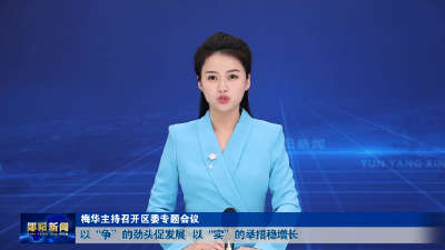 梅华主持召开区委专题会议 以“争”的劲头促发展 以“实”的举措稳增长