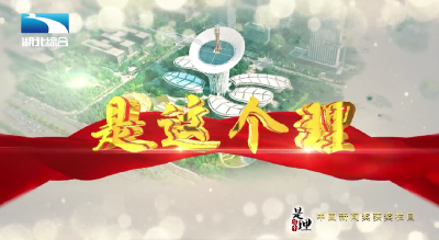 《是这个理》：电子皮肤“生长”记 