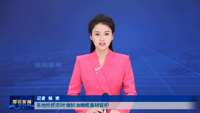 各地抢抓农时 做好油橄榄春耕管护