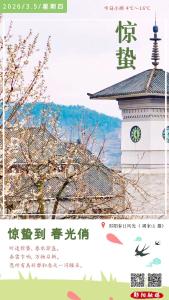 遇见郧阳｜成果丰硕！郧阳24个项目入选“中国好技术”