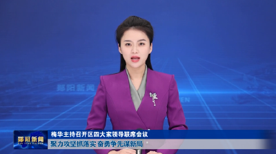 梅华主持召开区四大家领导联席会议 聚力攻坚抓落实 奋勇争先谋新局