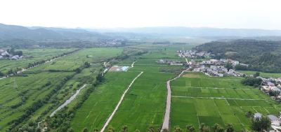 郧阳区：“哨兵”守闸口，“云端”调水源