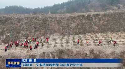 郧阳区：义务植树添新绿 初心践行护生态