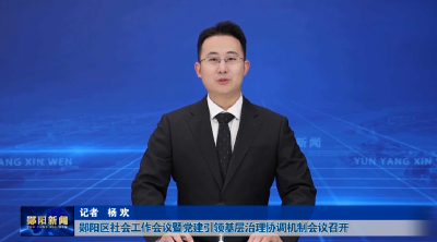 郧阳区社会工作会议暨党建引领基层治理协调机制会议召开