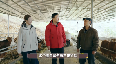 新春走基层丨“好生态好品种好市场 ”新龙村幸福养牛三重奏