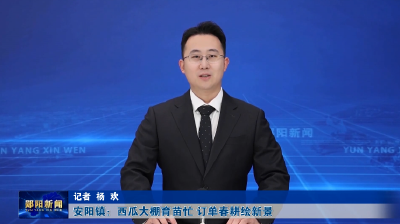 安阳镇：西瓜大棚育苗忙 订单春耕绘新景