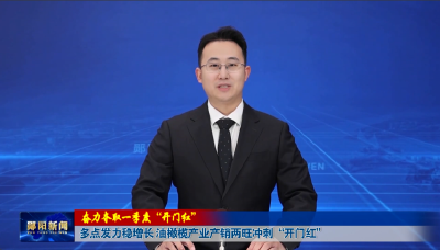 【奋力夺取一季度“开门红”】多点发力稳增长 油橄榄产业产销两旺冲刺“开门红”