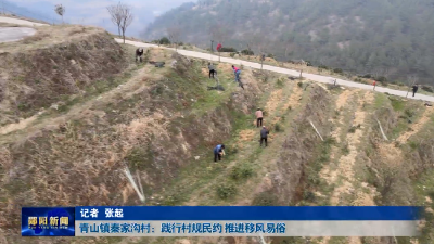 青山镇秦家沟村：践行村规民约 推进移风易俗