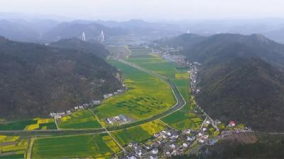 春到郧阳“花”为媒，农旅融合“钱”景好
