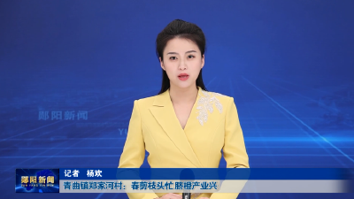 青曲镇郑家河村：春剪枝头忙 脐橙产业兴