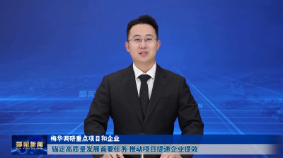 梅华调研重点项目和企业 锚定高质量发展首要任务 推动项目提速企业提效