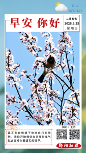 遇见郧阳｜出行必看！沿江路这一路段即将全封闭施工