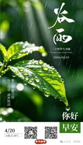 遇见郧阳｜央视卫视共同关注：郧阳绿色循环种植新模式