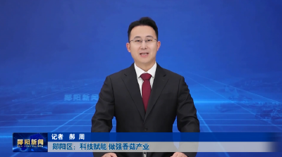 郧阳区：科技赋能 做强香菇产业