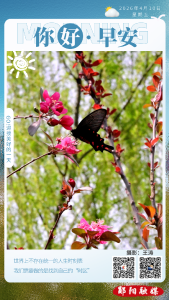 遇见郧阳｜提醒！郧阳区2026上半年教资认定即将启动