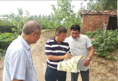 缘于吴劲松公道正派：客商一投再投建起千亩现代化蔬菜园