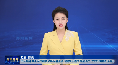 全区精神卫生医疗机构和医保基金管理突出问题专项整治工作攻坚推进会议召开