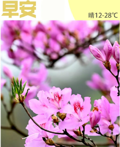 遇见郧阳｜事关堰马！郧阳部分公交线路运行区间临时调整