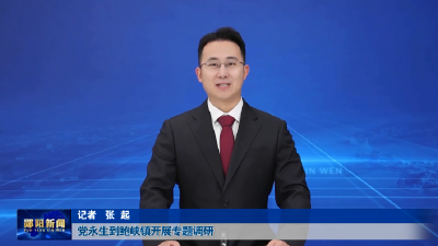 党永生到鲍峡镇开展专题调研