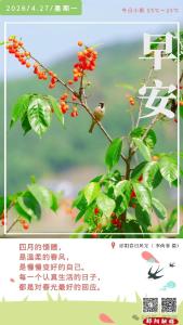 遇见郧阳｜5月1日起，郧阳停车收费新规施行！