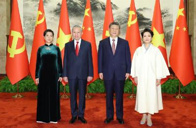 习近平同越共中央总书记、国家主席苏林举行会谈