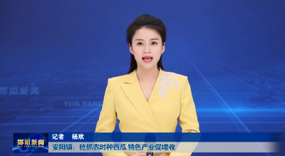 安阳镇：抢抓农时种西瓜 特色产业促增收