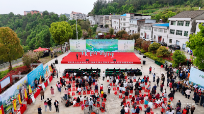 茶韵飘香！这场“茶事”解锁春日茶乡新活力