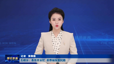 五峰乡：春茶开采忙   茶香铺就富民路