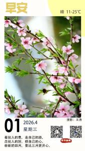 遇见郧阳｜开始申报！全省创业扶持项目来了