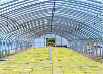 遇见郧阳丨 一飞一摘，解锁郧阳周末新玩法