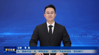 从“菌麻共生”到“双轮驱动” 郧阳77万亩林地成“绿色银行”