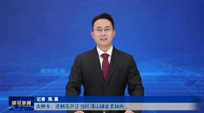 郧阳区柳陂镇：春色入画来