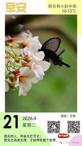 遇见郧阳｜外套先别收！郧阳这波冷空气有点猛