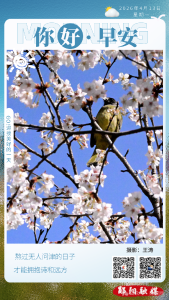 遇见郧阳｜首趟专列入郧！700余名游客畅游郧阳山水