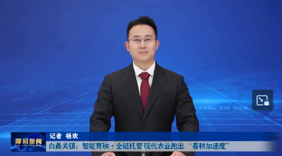 白桑关镇：智能育秧 + 全链托管 现代农业跑出“春耕加速度”
