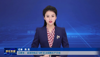 五峰乡：油菜抢收正当时 全力保障丰产丰收