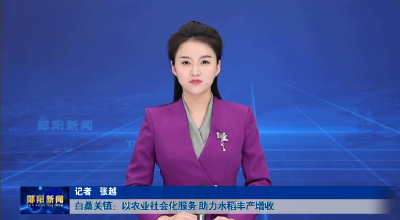 白桑关镇：以农业社会化服务 助力水稻丰产增收