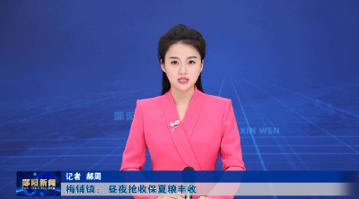 梅铺镇： 昼夜抢收保夏粮丰收
