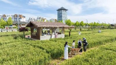全民共享！“五一”假期郧阳文旅消费活力全开