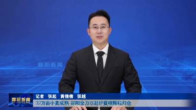 32万亩小麦成熟  郧阳全力以赴护夏粮颗粒归仓