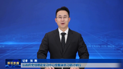区政府党组理论学习中心组集体学习研讨举行