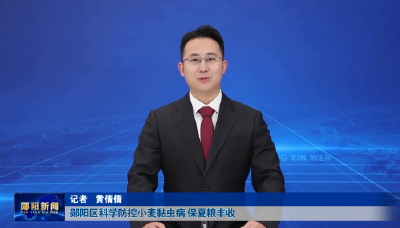 郧阳区科学防控小麦黏虫病 保夏粮丰收