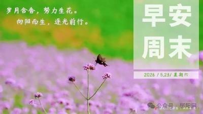 遇见郧阳｜出行请注意！今天有小到中雨，局部大雨暴雨