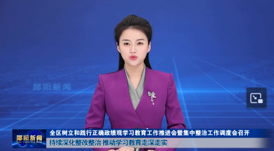 全区树立和践行正确政绩观学习教育工作推进会暨集中整治工作调度会召开